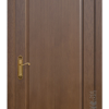 Дверь Никея 1 ПГ